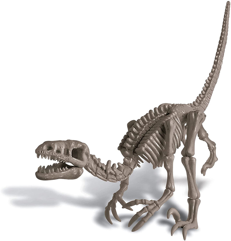 4M - Dig a Velociraptor