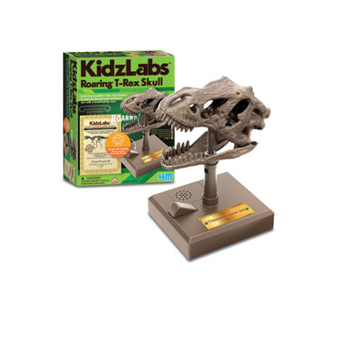 4M Kidzlabs Dino Skull
