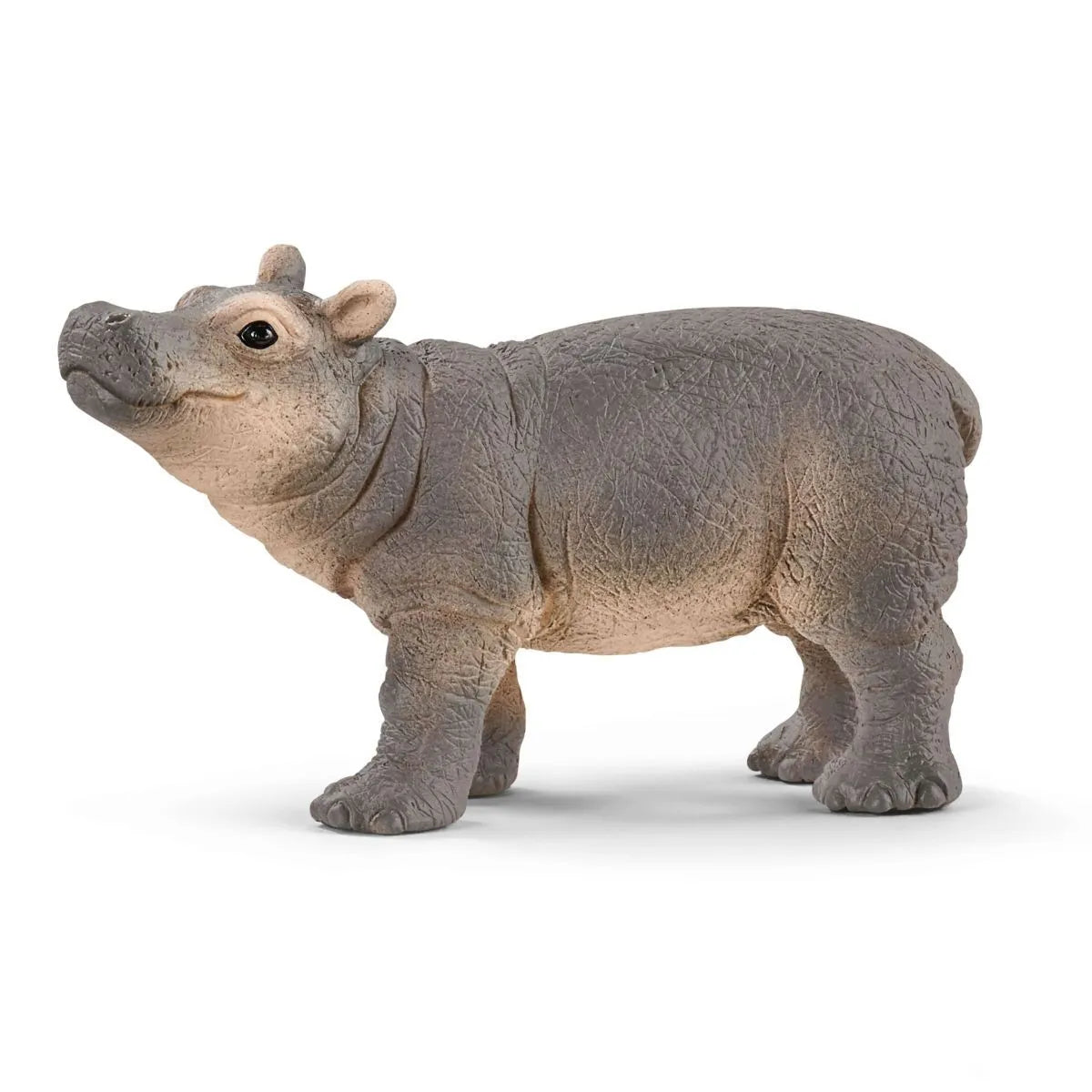Wild Life - Baby Hippopotamus (3.4cm Tall)