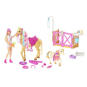 Barbie® Groom 'N Care Horses Playset With Barbie® Doll