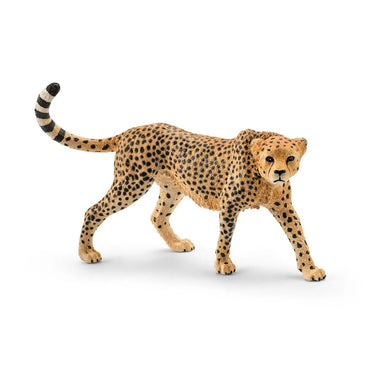 WILD LIFE - Cheetah, female