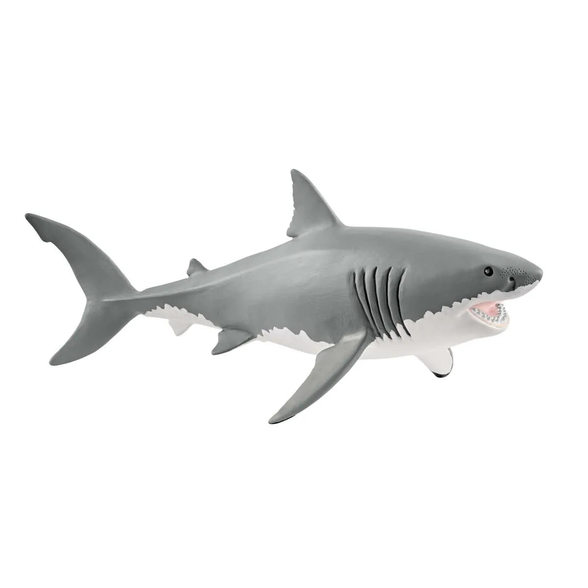 WILD LIFE - Great White Shark