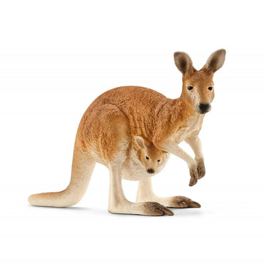 WILD LIFE - Kangaroo
