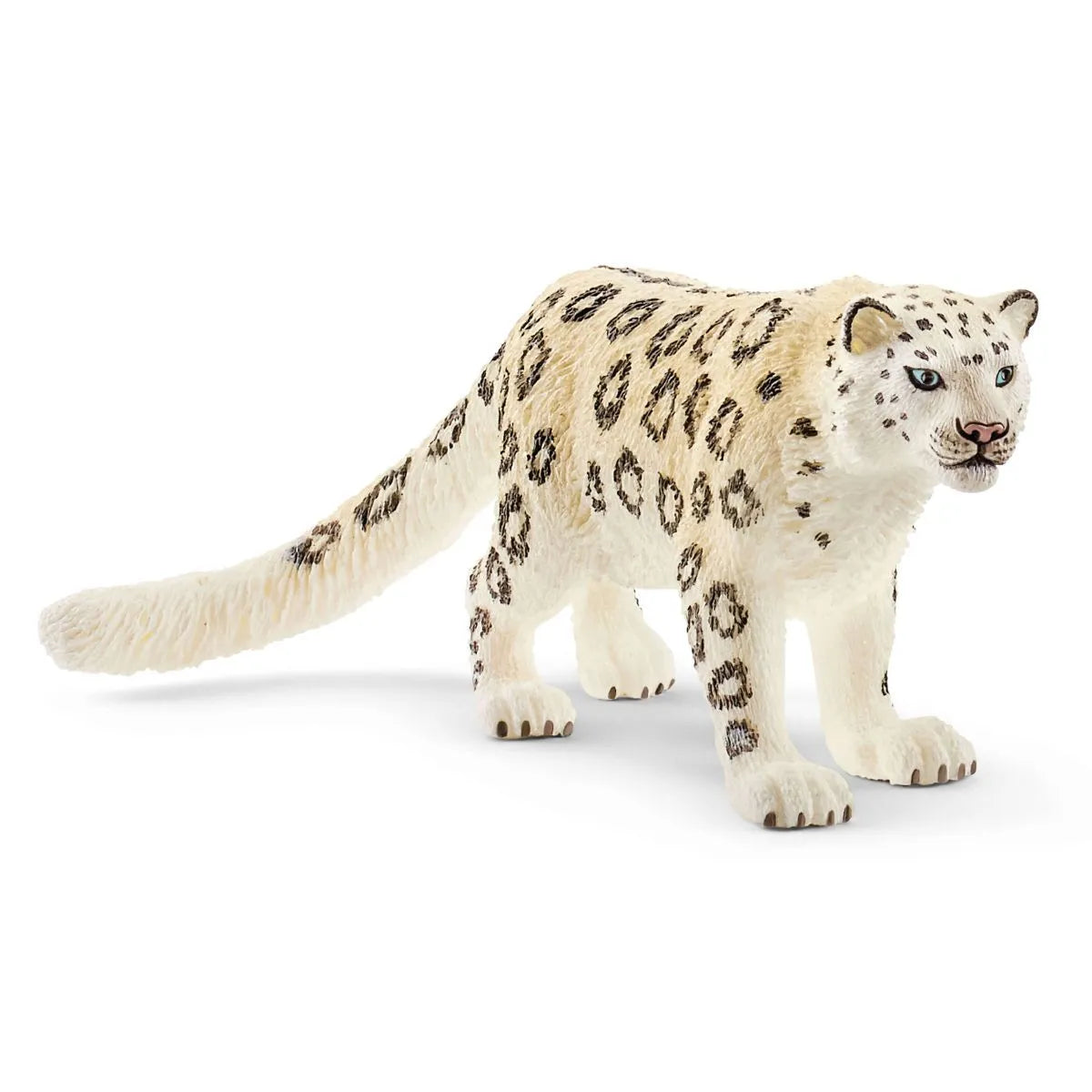 WILD LIFE - Snow Leopard